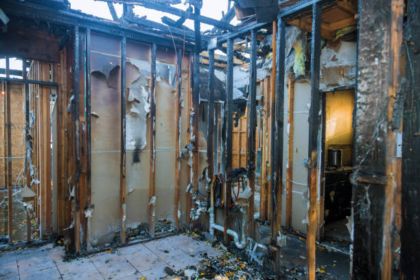 Professional Fire Damage Removal technician working in Saint Michael, MN
