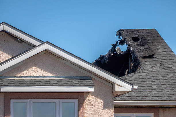 Top rated local Fire Damage Removal specialists in Saint Michael, MN